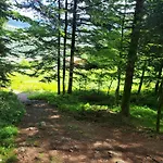 Alpstuga Le Belvedere, Vue Exceptionnelle Dans Les Hautes Vosges Ventron