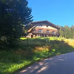 Le Belvedere, Vue Exceptionnelle Dans Les Hautes Vosges * Ventron