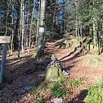 Le Belvedere, Vue Exceptionnelle Dans Les Hautes Vosges Ventron