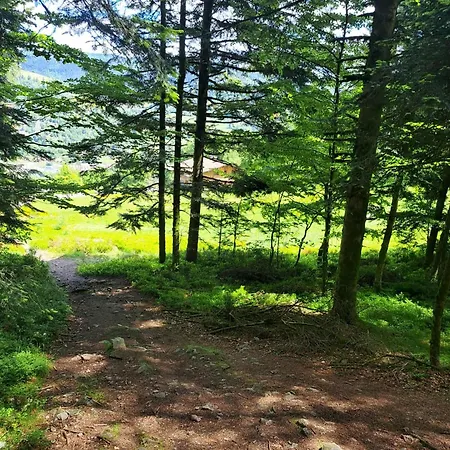 Domek alpejski Le Belvedere, Vue Exceptionnelle Dans Les Hautes Vosges Ventron