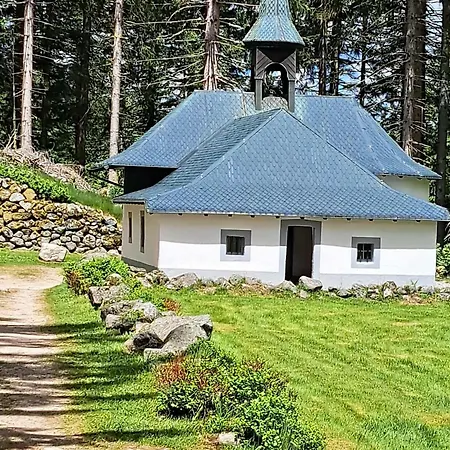 Le Belvedere, Vue Exceptionnelle Dans Les Hautes Vosges * Ventron