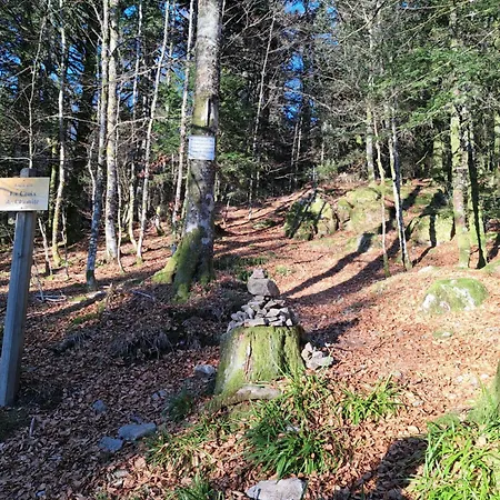 Le Belvedere, Vue Exceptionnelle Dans Les Hautes Vosges Ventron
