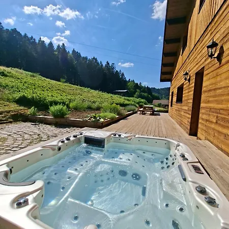 Le Belvedere, Vue Exceptionnelle Dans Les Hautes Vosges * Ventron