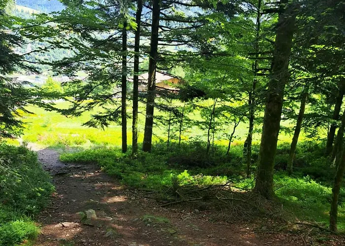 Chalet Le Belvédère, Vue Exceptionnelle Dans Les Hautes Vosges Ventron