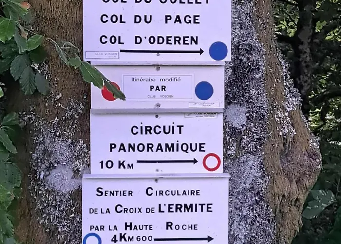 Chalet Le Belvédère, Vue Exceptionnelle Dans Les Hautes Vosges Ventron