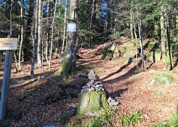 Le Belvedere, Vue Exceptionnelle Dans Les Hautes Vosges Ventron